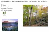 Ed Faison Senior Ecologist Highstead Foundation RCP ... - Ed_Faison.pdfWildland forests–the ecological benefits of letting nature take its course Ed Faison Senior Ecologist Highstead