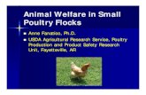 Animal Welfare in Small Poultry Flocksconferences.illinois.edu/resources/20033/... · nMost small-scale poultry producers do not participate in welfare assurance programs nProducer