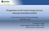 Perspectives on the Fusion Energy Sciences Advisory ... · • 2015 Fusion Energy Sciences Ten-Year Perspective: –Based on FESAC 2014 and other considerations, SC sent a report