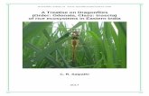 A Treatise on Dragonflies (Order: Odonata, Class: Insecta ... started and the dragonflies have to devoured