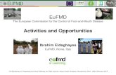 Activities and Opportunities - Food and Agriculture ...€¦ · 6 Decades of FMD Control - Video 1st Workshop on Progressive Control Pathway for FMD Control; Value Chain Analysis;