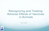 Recognizing and Treating Adverse Effects of Vaccines in Animalss3.amazonaws.com/onehealth-wp/content/uploads/2018/03/... · 2018-03-31 · Vaccine Example: Rabies Rabies vaccine causes