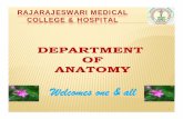 RAJARAJESWARI MEDICAL COCO G & OSLLEGE ...RAJARAJESWARI MEDICAL COCO G & OSLLEGE & HOSPITAL Welcomes one & all 1 VISION DEPARTMENT OF ANATOMY ¾Education is the training of the mind