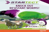 Dual Active Knockout Drench KNOCK OUT …...Dictyocaulus filaria (adult) Dosage and administration STARTECT Dual Active is a ready-to-use oral solution. The dose for sheep is 2 mg