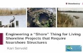 Shoreline Projects that Require Nearshore Structures€¦ · Coastal engineering design guidance for reef breakwaters 9 Figure Credit: Coastal Engineering Manual, 2002 Wave Transmission