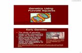 Introduction to Genetics using Punnett Squaresatiscience.weebly.com/uploads/5/4/8/6/54867073/... · Punnett Squares Early Genetics •The study of genetics began with observations