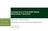 Thematic Workshop: Area Based Conservation Measures · thematics, and WG8j Debriefs on key upcoming processes (including ABCM, mainstreaming, SBI, ABS, Sustainable Use, etc) 12:00