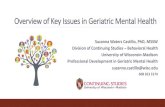 Overview of Key Issues in Geriatric Mental Health€¦ · Evidence-based pharmacologic treatment for geriatric depression and anxiety Suicide and older adults ... Hypochondriasis