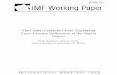 The Global Financial Crisis: Explaining Cross-Country ... · financial centers, but also heterogeneity in the macroeconomic and institutional frameworks as well as in the policy responses.