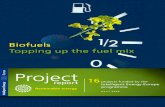 Biofuels Topping up the fuel mix - Cti2000.it · biofuels sector: farmers, foresters, fuel producers and retailers, filling station owners, vehicle manufacturers, local authorities