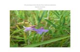 The Ecology of the Marsh Pea, Lathyrus palustris - The Wildlife … · 2015-08-14 · 2 I. Abstract The Marsh Pea, Lathyrus palustris, is a climbing perennial herb found in fens,