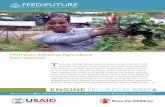 ENGINE TECHNICAL BRIEF - Save the Children Ethiopia · With ENGINE support, AEWs and woreda agriculture Highly Nutritious Crops Promoted by ENGINE VEGETABLES FRUITS ... and trained