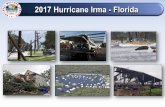 2017 Hurricane Irma - Florida - National Weather Service · 2019-08-26 · 2017 Hurricane Irma - Statistics CAT 4 (132 mph) in Florida Keys at 9:10 am Sep 10 with a storm tide of