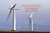Scotland’s Beauty at Risk€¦ · Scotland’s Beauty at Risk Introduction There is an unseemly rush to develop wind power in Scotland’s uplands. Not for the first time, the beauty