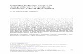 Emerging Molecular Targets for Anti-proliferative Strategies in Pulmonary …josorge.com/publications/Citations/CS/003.pdf · 2014-01-28 · Pulmonary Arterial Hypertension Ly Tu