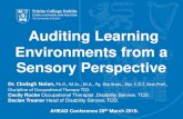 Auditing Learning Environments from a Sensory Perspective · 2019-09-26 · Declan Treanor Head of Disability Service, TCD. AHEAD Conference 20th March 2019. Trinity College Dublin,