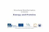Structural Bioinformatics (C3210) - NCBRncbr.muni.cz/~martinp/C3210/StructBioinf6.pdfStructural Bioinformatics (C3210) Energy and Proteins 2 Protein Structure and Non-covalent Interactions