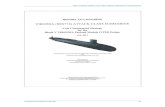 Navy Virginia (SSN-774) Class Attack Submarine Procurement · 1.1 Block I — Integrated Product & Process Development (IPPD) Design/Build Genesis ... 4.1 Implementation of IPPD in