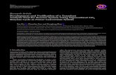 Development and Verification of a Transient Analysis Tool ...downloads.hindawi.com/journals/stni/2018/6801736.pdf · 16.03.2018  · KALIMER- STAR-LM SSTAR Developing-KAIST SNL MIT
