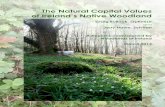 The Natural Capital Values of Ireland’s Native Woodland · March 2014 Woodlands of Ireland is a Private Limited Company with Charitable Status (Company No. 499781, Charity No. CHY