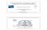 Light and the circadian clock : effects on human health · 2014-07-09 · 1 Light and the circadian clock : effects on human health Claude Gronfier, Ph.D. Département de Chronobiologie