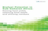 Biofuel Potential in Sub-Saharan Africa · countries in sub-Saharan Africa: Ghana, Mozambique, Nigeria, South Africa and Uganda. These countries reflect a variety of agricultural