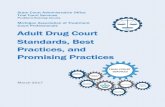Adult Drug Court Standards, Best Practices, and Promising ... · implementation of best practices in addition to standards. Best practices are strong ... participant’s participation