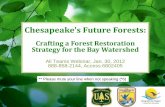 Chesapeake's Future Forests Chesapeake's Future Forests: Crafting a Forest Restoration Strategy for