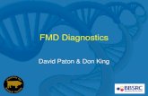 FMD Diagnostics - Iowa State University · Detection of FMD virus 2. Detection of FMDV-specific antibody (SP/NSP) ... Clinical disease evident on the farm KEY 10 km X FMD confirmed