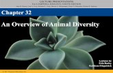 An Overview of Animal Diversity · Concept 32.2: The history of animals spans more than half a billion years • The animal kingdom includes a great diversity of living species and
