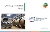 „Baltic Energy for Poland 2025” · Baltic Energy for Poland 2025 - industry 40 GW –energy potential of the Baltic Sea (10 GW until 2030) South Baltic –main area for offshore
