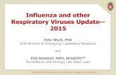 Influenza and other Respiratory Viruses Update-- 2015strains 1918 1957 1968 1977 1997 1999 2003 H1 2009 H1pdm H2 Avian H7 Avian H5 Avian H9 H3 Type B B/Vic ... Influenza: Emergence