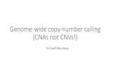Genome-wide copy-number calling (CNAs not CNVs!) · Structural variation (SVs) Deletion Duplication Inversion Translocation A B C C A B A B C B A C Copy-number variations Balanced