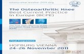 The Osteoarthritic Knee Best Current Practice in Europe (BCPE) · Tips and tricks in primary TKA – Video pearls Moderation: A. Baldini (Italy) The Mini Midvastus and Mini Subvastus