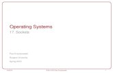 Operating Systems - Rutgers Universitypxk/416/notes/content/17...• struct proto_ops *ops: protocol-specific functions that implement socket operations – Common functions to support