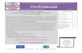 Orchidacea June 2017 Page The Orchid Society of …triangleorchidsociety.org/newsletter/2017/Jun2017.pdfby Ariel Zelaya TriangleOrchidSociety.org Orchidacea June 2017 Page 7 2017 Triangle
