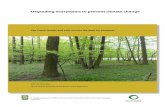 Degrading ecosystems to prevent climate change · Degrading ecosystems to prevent climate change Can Czech forests and soils survive the dash for biomass? 5 Foreword In evaluating