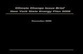 Climate Change Issue Brief New York State Energy Plan 2009€¦ · State Energy Policy and Climate Change . New York already has begun to deal with climate challenge, through innovative,