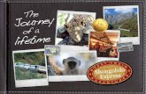 Great Train Adventures! - Luxury Train Travel€¦ · train safari holiday which eliminates all those hours and kilometres you spend in the bus on a traditional bus tour, and it also
