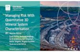 Mining Industry Consultants - Managing Risk With Quantitative 3D … · 2019-11-21 · Risk 2 Effective Mineral Exploration & Development (Technical) Risk Management involves: Minimising