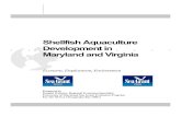 Shellfish Aquaculture Development in Maryland and …...Shellfish Aquaculture Development in Maryland and Virginia Economy, Employment, Environment Prepared by Donald Webster, Regional