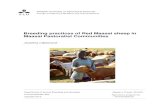 Breeding practices of Red Maasai sheep in Maasai Pastoralist …stud.epsilon.slu.se/4009/8/liljestrand_j_120327.pdf · 2012-03-30 · Anna Näsholm, Dept. f Animal Breeding and Genetics,