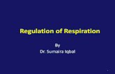 Regulation of Respiration - WordPress.com · Regulation of Respiration By Dr. Sumaira Iqbal 1. Objectives •By the end of the lecture students should be able to –Summarize nervous