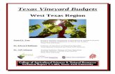 Texas Vineyard Budgetsagrilifecdn.tamu.edu/winegrapes/files/2016/03/west-tx-budget.pdf · to fruit characteristics. Fruit quality is a function of site characteristics, vineyard management,