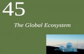 The Global Ecosystemgandha.weebly.com/uploads/1/3/3/6/13367253/ch45_lecture_the_glo… · Chapter 45 The Global Ecosystem Key Concepts 45.1 Climate and Nutrients Affect Ecosystem