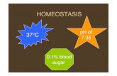 HOMEOSTASIS - staff.unila.ac.idstaff.unila.ac.id/gnugroho/files/2020/04/Homeostasis-and... · 3. Formation of Urine 4. Water Balance 5. Kidney Disease Example: carbon dioxide levels