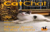 CatChat - Advice - Foster - Donate - Cat haven · Felines and Fashion Following on from the success of the clothing stall at Wet nose Day, Cat Haven had its first pre-loved clothing