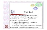Cell Hierarchy & Chemical Composition - Lazarovnikolai.lazarov.pro/lectures/2014/medicine/cell... · The Cell 1.The cell – the basic structural and functional unit of living organisms