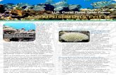 U.S. Coral Reef Task Force FY11-14 Accomplishments Report ... _summary.pdf · Commonwealth of the Northern Mariana Islands, Florida, Guam, Hawaiʻi, Puerto Rico, and the U.S. Virgin
