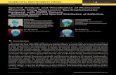 Spectral Analysis and Visualization of Fluorescent ...origin.hitachi-hightech.com/file/global/pdf/sinews/si_report/130205.pdf · Spectral Analysis and Visualization of Fluorescent